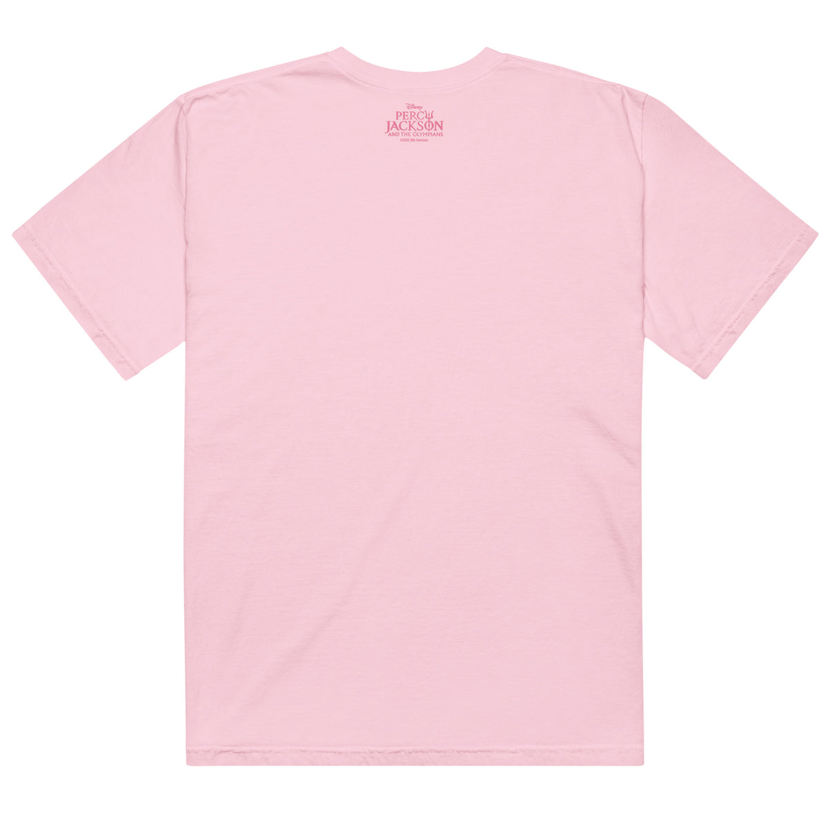 Back view of the Blossom pink Comfort Colors t-shirt