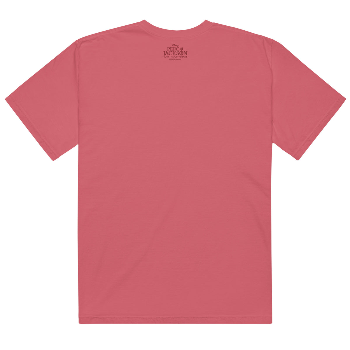 Back view of the black Hephaestus t-shirt showing plain garment-dyed cotton fabric
